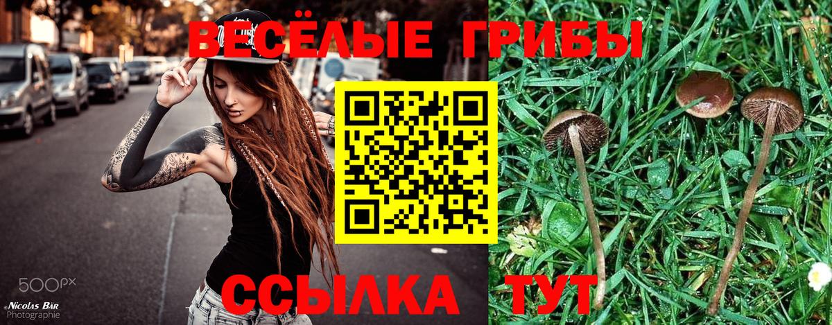 Галлюциногенные грибы Magic Shrooms Феодосия