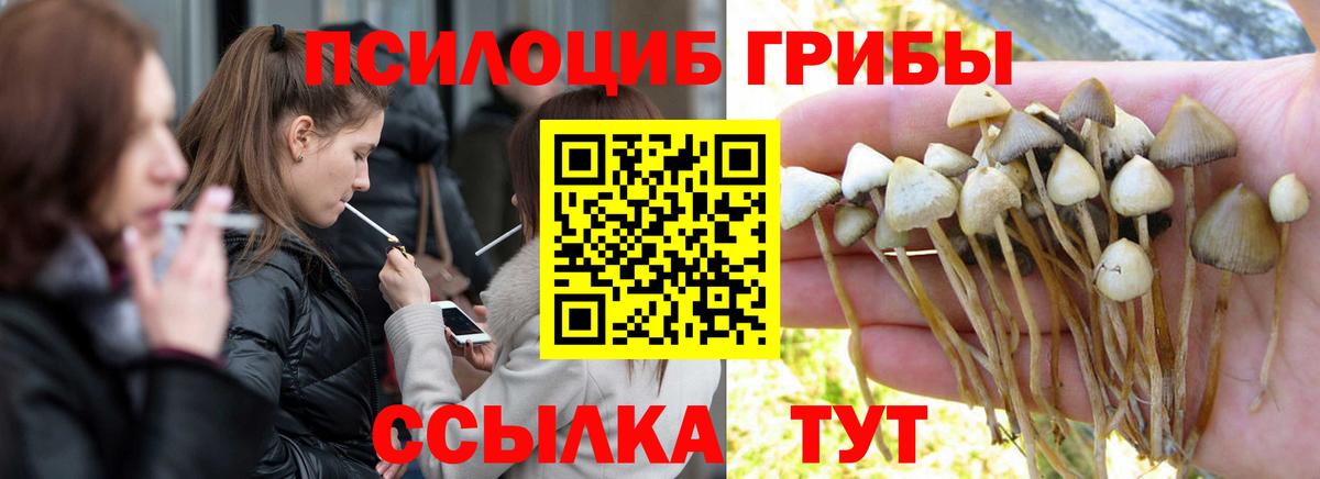купить   Галлюциногенные грибы мицелий  Вход с VPN  Феодосия 